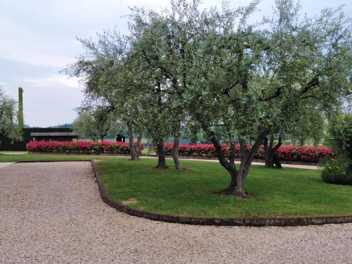 Agriturismo Le Ginestre Lazise Zewnętrze zdjęcie
